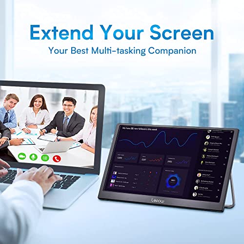 Lepow Best Portable Computer Monitor 15,4"